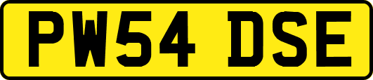 PW54DSE