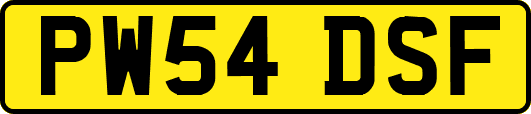 PW54DSF