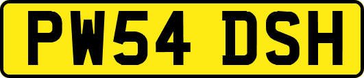 PW54DSH