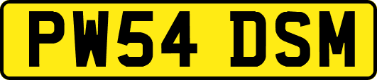 PW54DSM