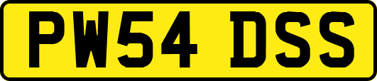 PW54DSS