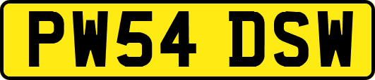 PW54DSW