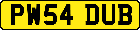 PW54DUB
