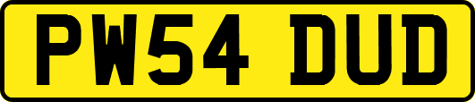 PW54DUD