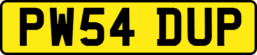 PW54DUP