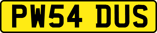 PW54DUS
