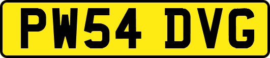 PW54DVG