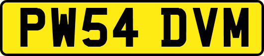 PW54DVM