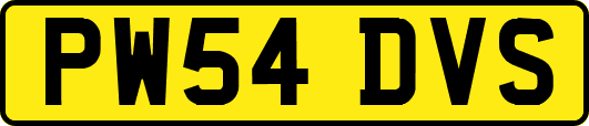 PW54DVS