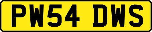 PW54DWS