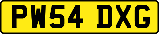 PW54DXG