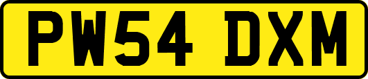 PW54DXM
