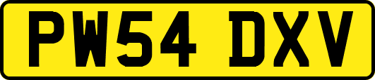PW54DXV