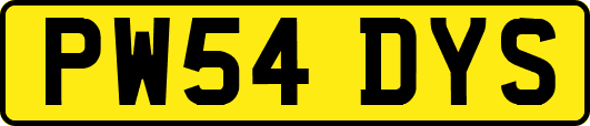 PW54DYS