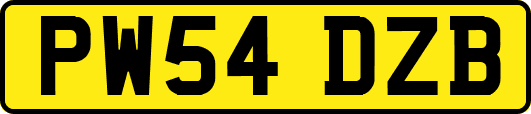 PW54DZB