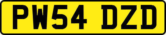 PW54DZD
