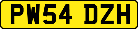 PW54DZH