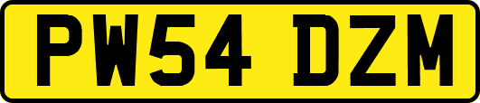 PW54DZM