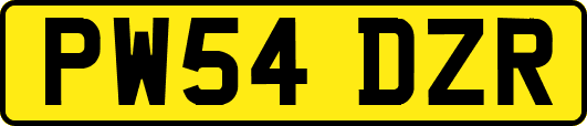 PW54DZR