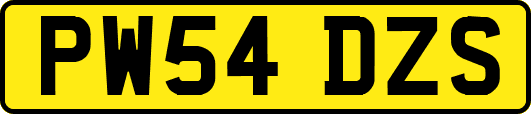PW54DZS