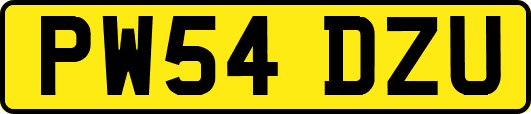 PW54DZU