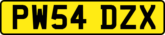 PW54DZX