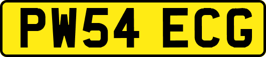 PW54ECG
