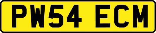 PW54ECM