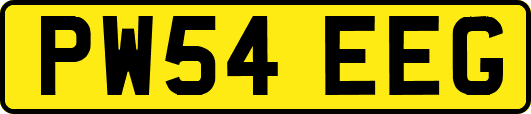 PW54EEG