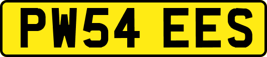 PW54EES
