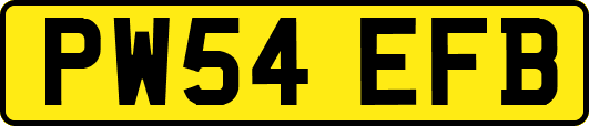PW54EFB