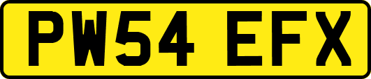 PW54EFX
