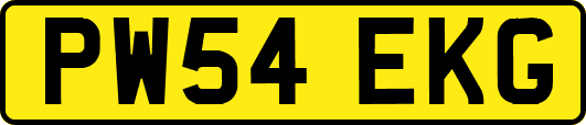 PW54EKG