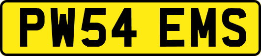 PW54EMS