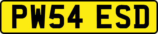 PW54ESD