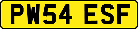 PW54ESF