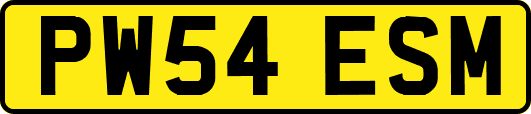 PW54ESM