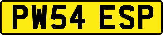 PW54ESP