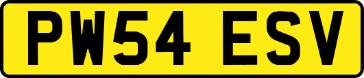 PW54ESV