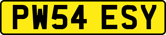 PW54ESY