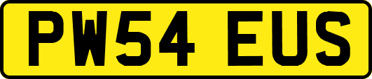 PW54EUS