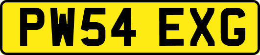 PW54EXG