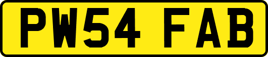 PW54FAB