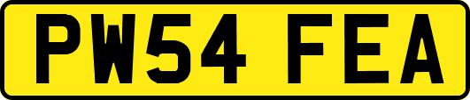 PW54FEA