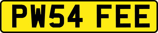PW54FEE