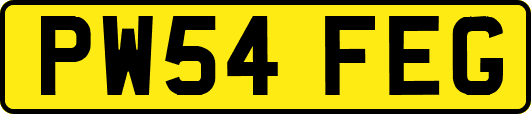 PW54FEG