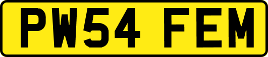 PW54FEM