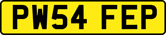 PW54FEP
