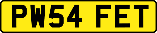 PW54FET