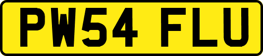 PW54FLU